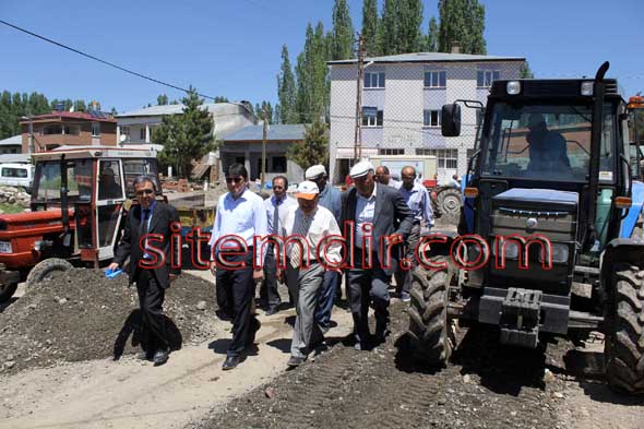 IMG3210 copy