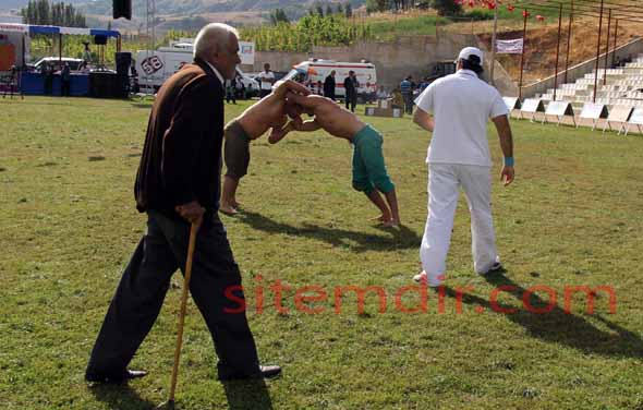 doğanşar festival (1)