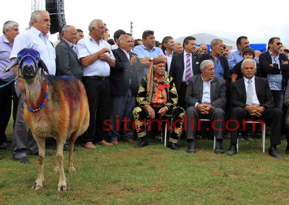 doğanşar festival (2)