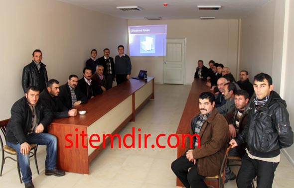 hafik arı