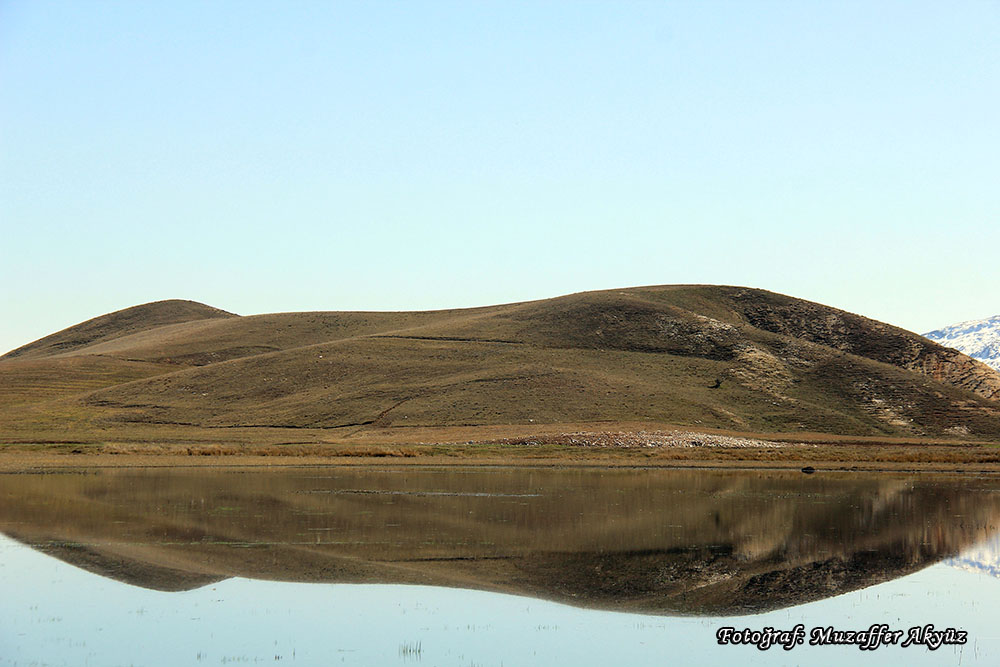 Hafik Çekmegöl Gölü 9