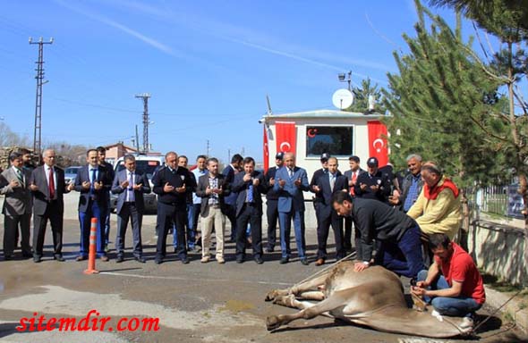 hafik polis kurban
