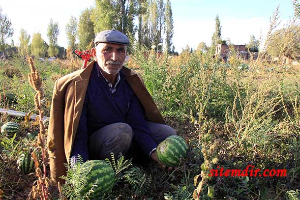 hafik-karpuz-ali-gencer